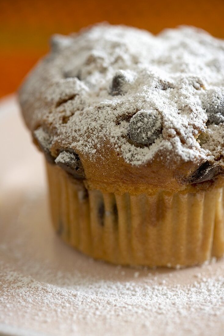 A Chocolate Chip Muffin