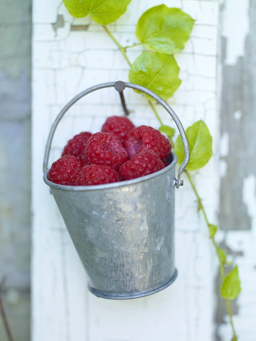 A Pail of Raspberries Hanging on a Nail