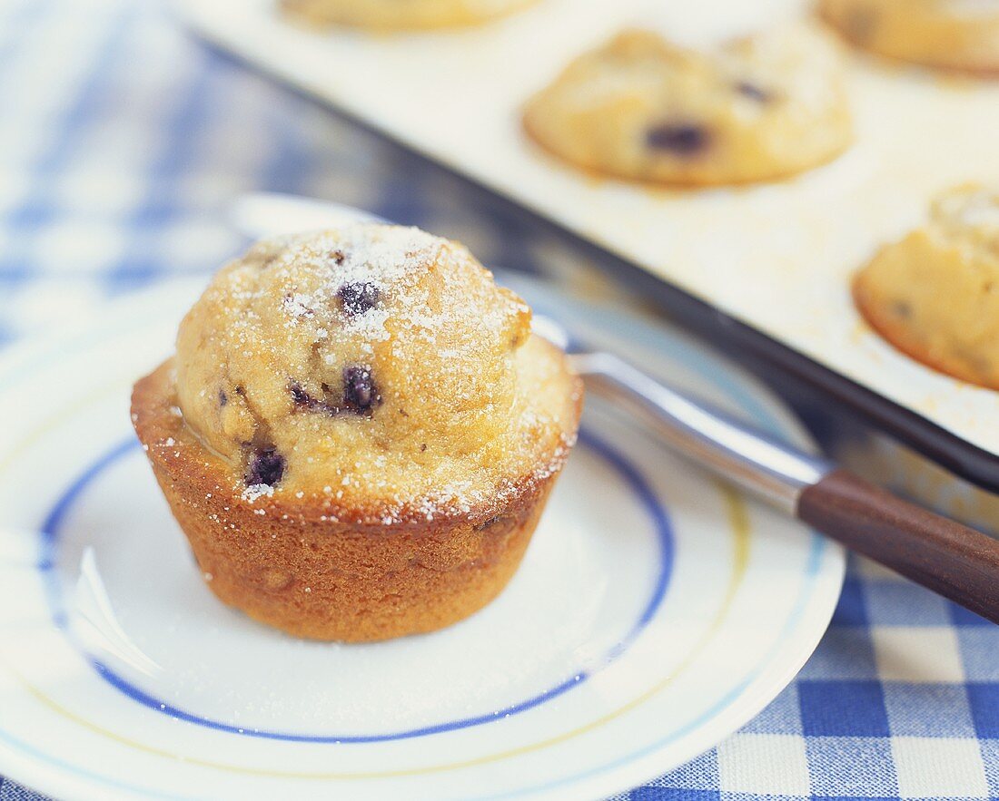 Fresh Baked Blueberry Muffin
