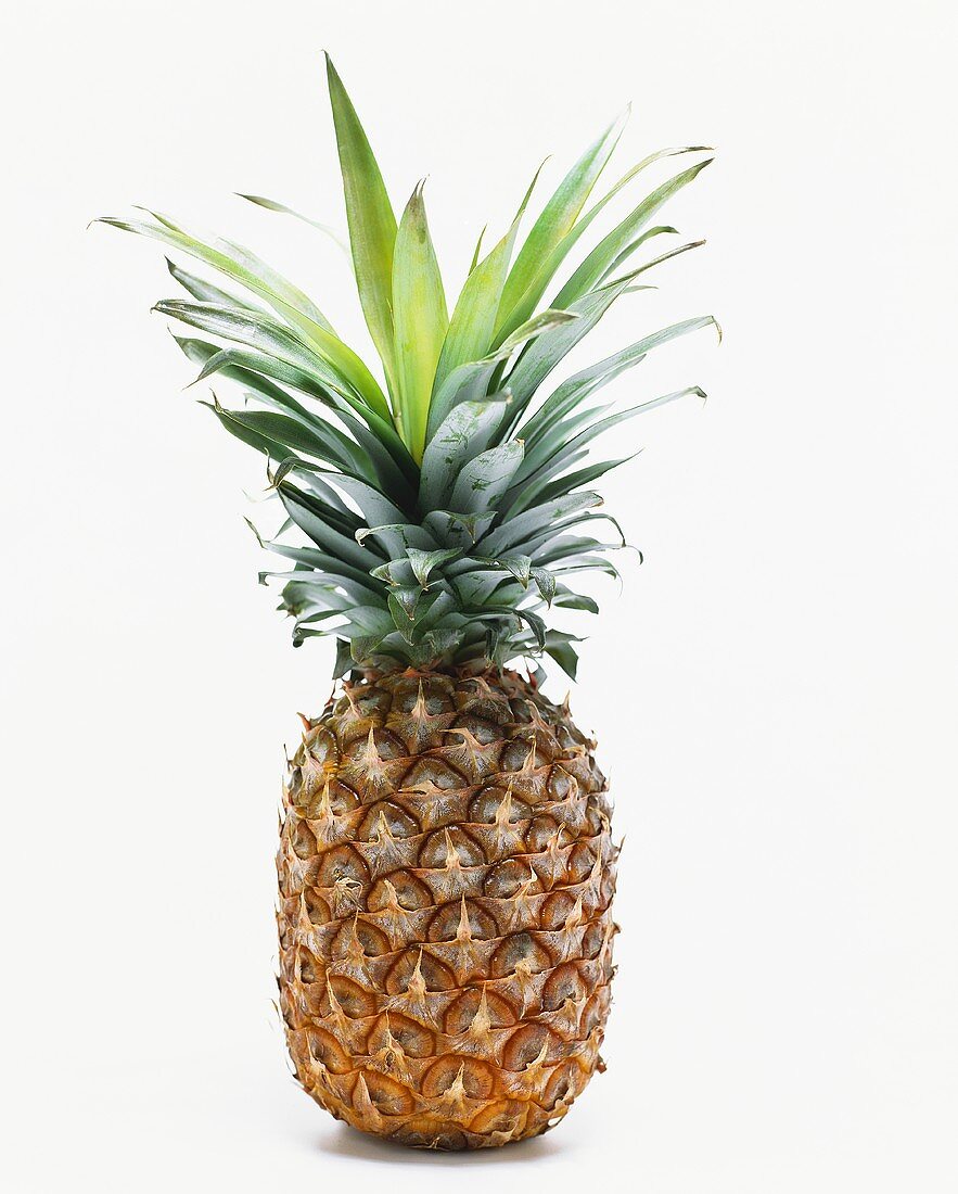 Whole Pineapple on White