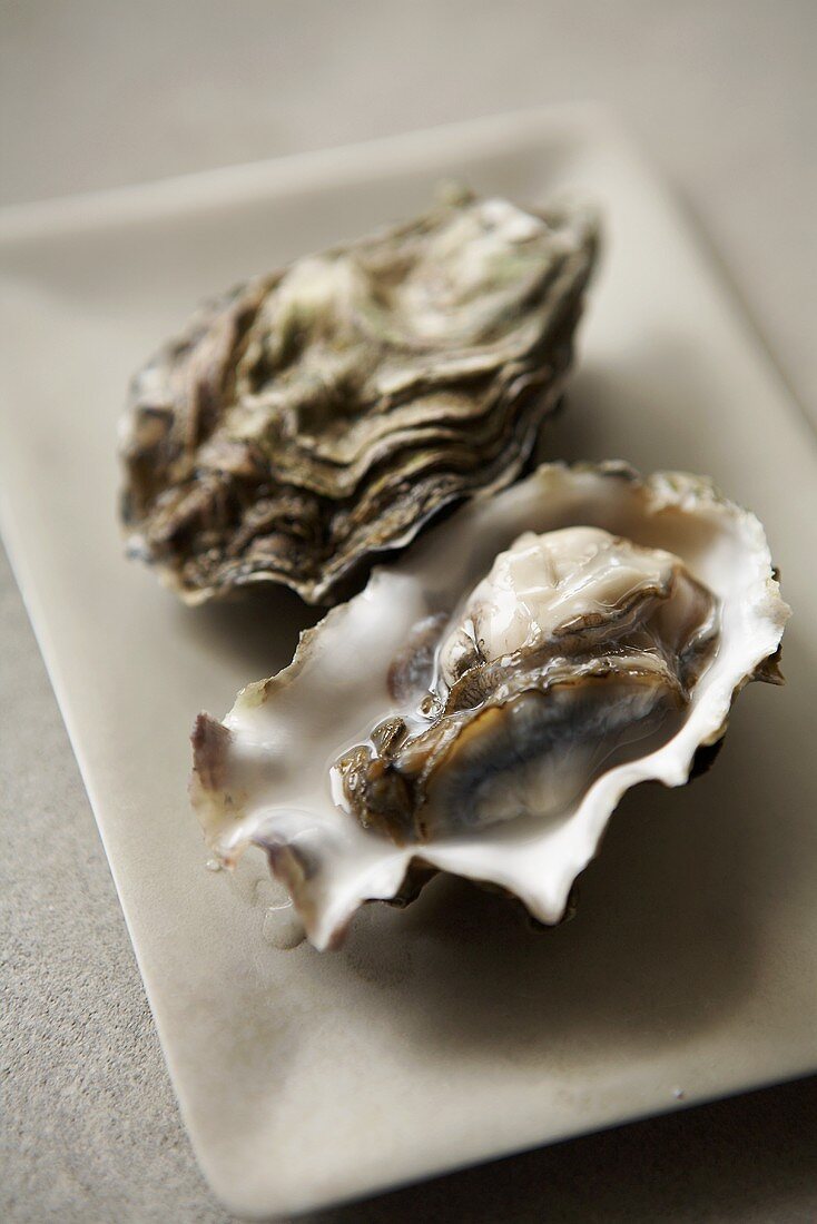 Two Raw Oysters, One Open