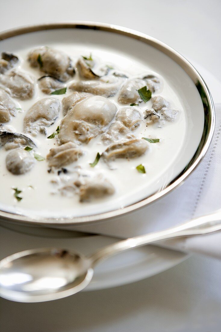 Bowl of Oyster Stew
