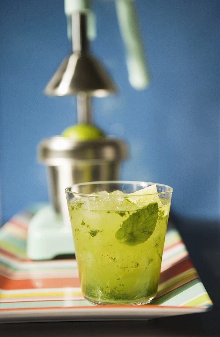 Mojito im Glas, Limette in Zitruspresse