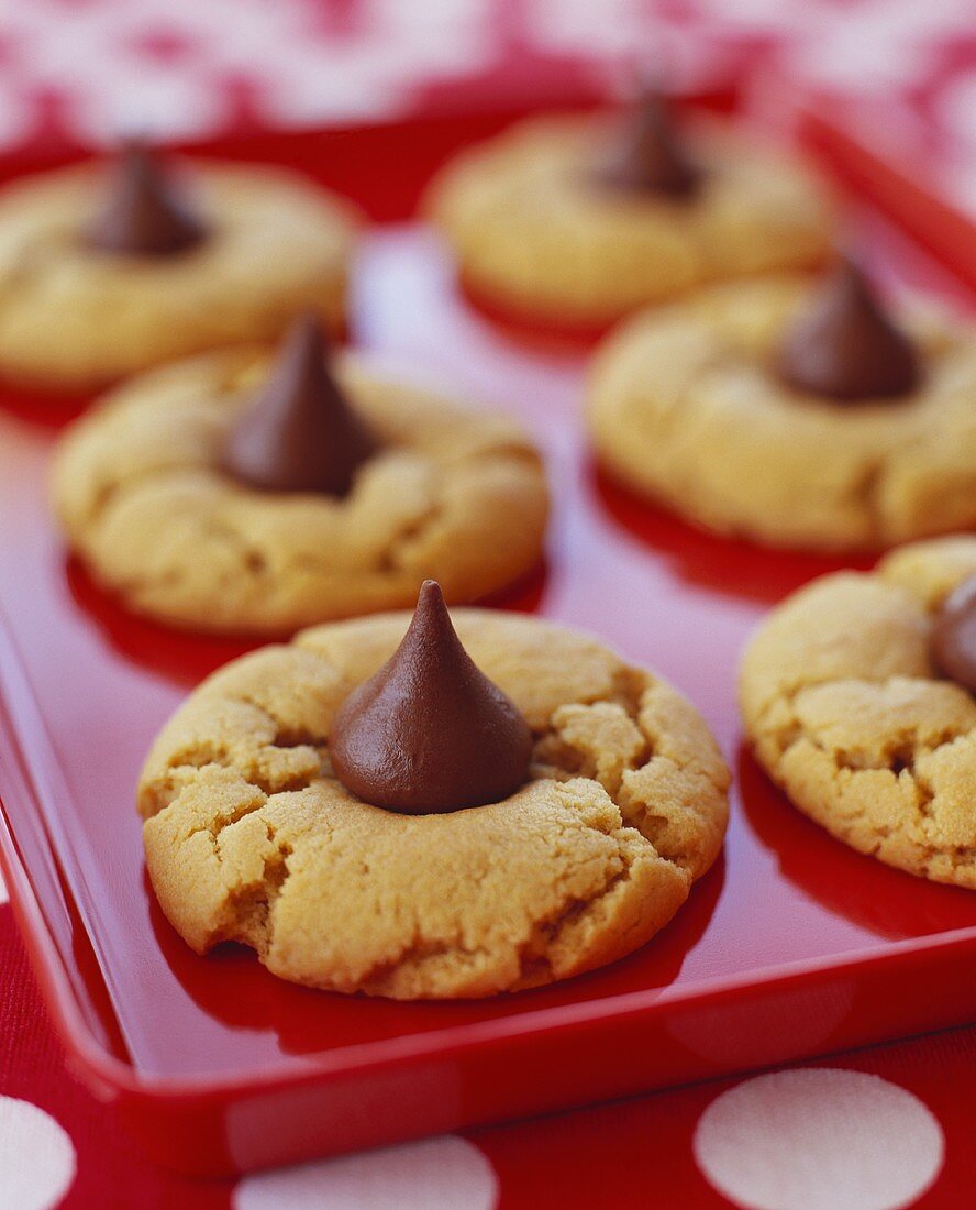 Sechs Erdnussbutter-Kekse mit Schokolade