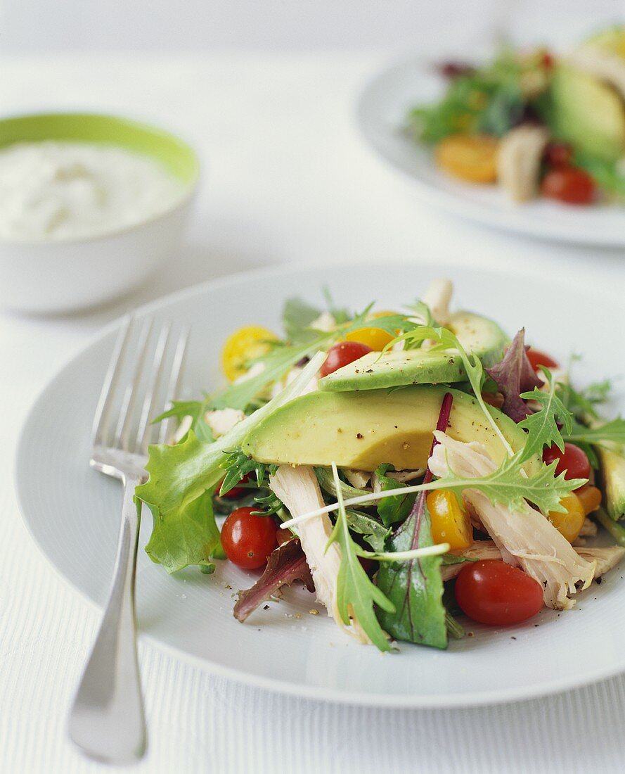 Gemischter Salat mit Avocado und Hähnchen