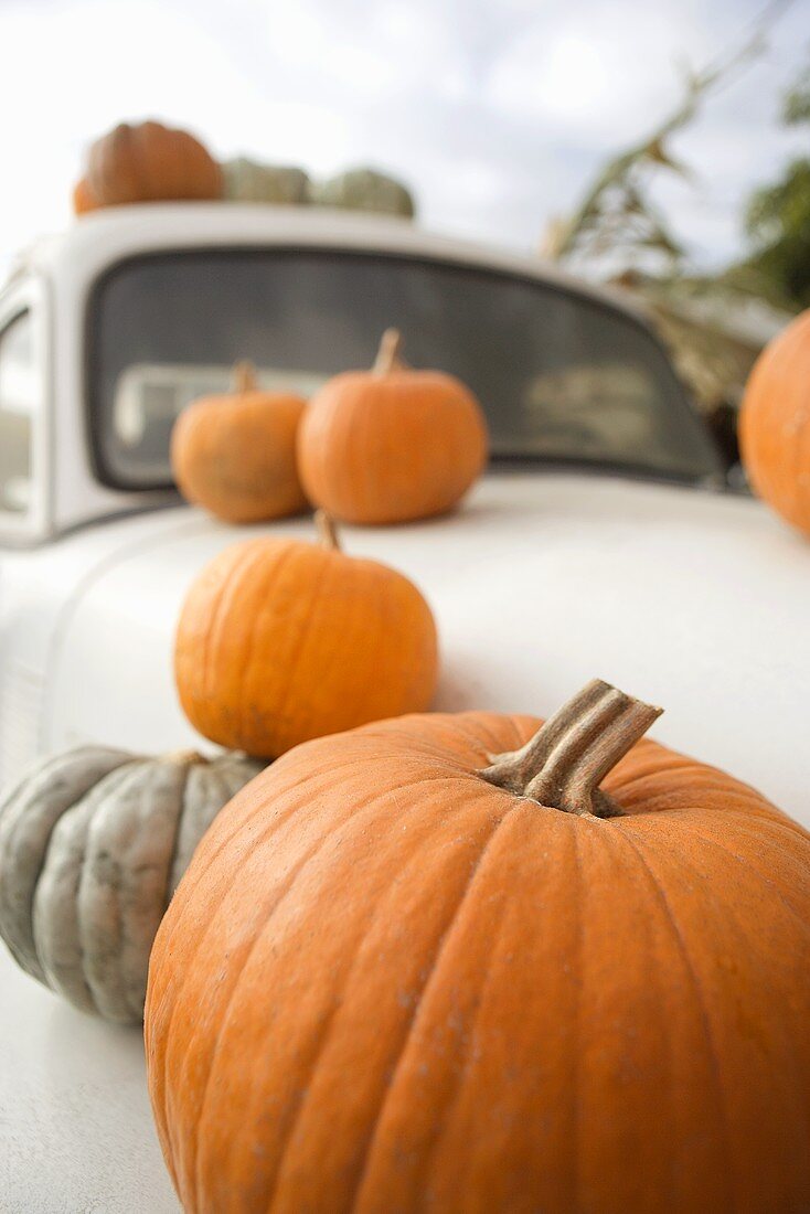 Various Pumpkins on a White Car