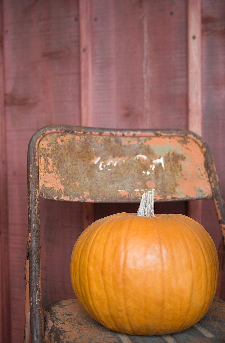 Pumpkin on a Rusty Chair