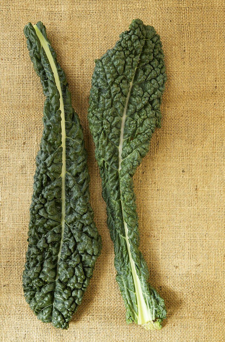 Two Kale Leaves