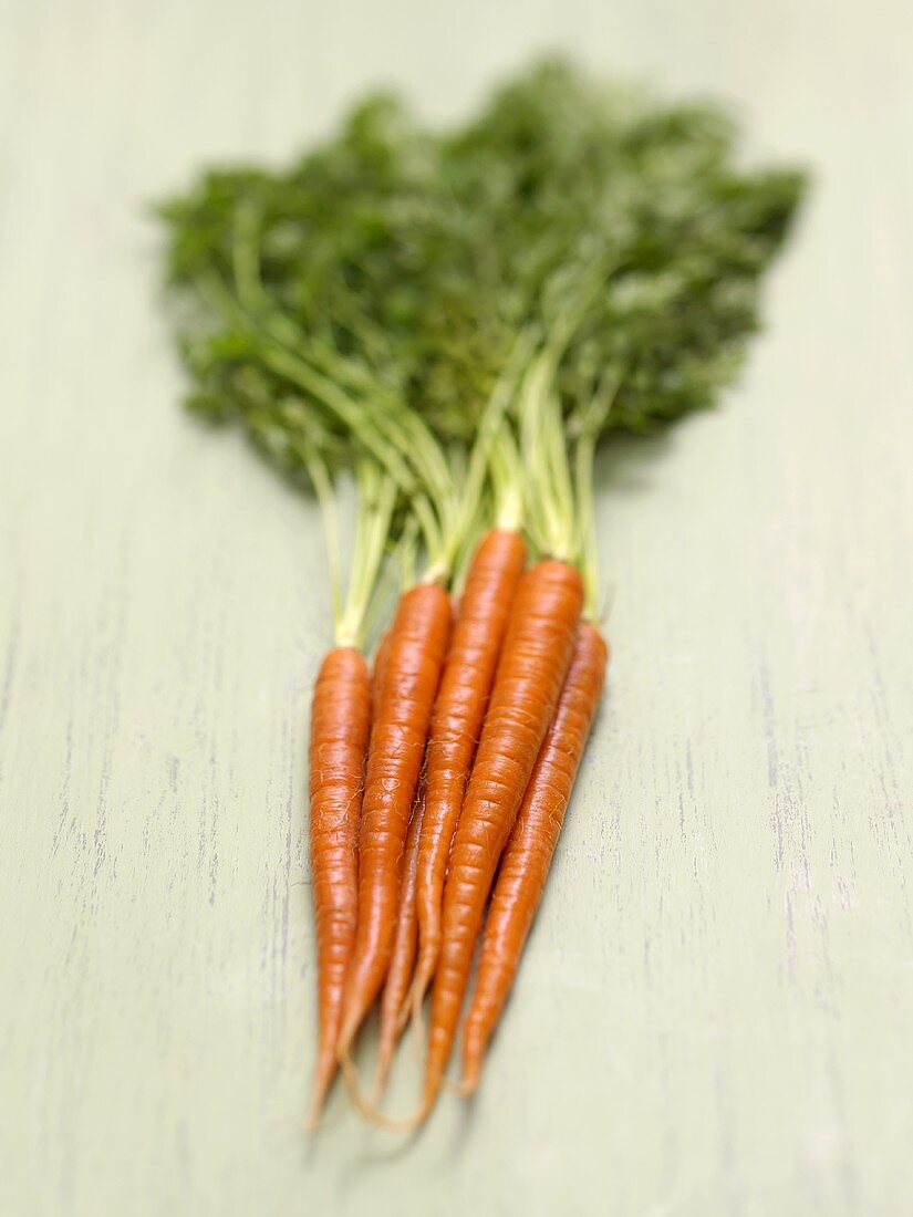 Fresh Bunch of Carrots