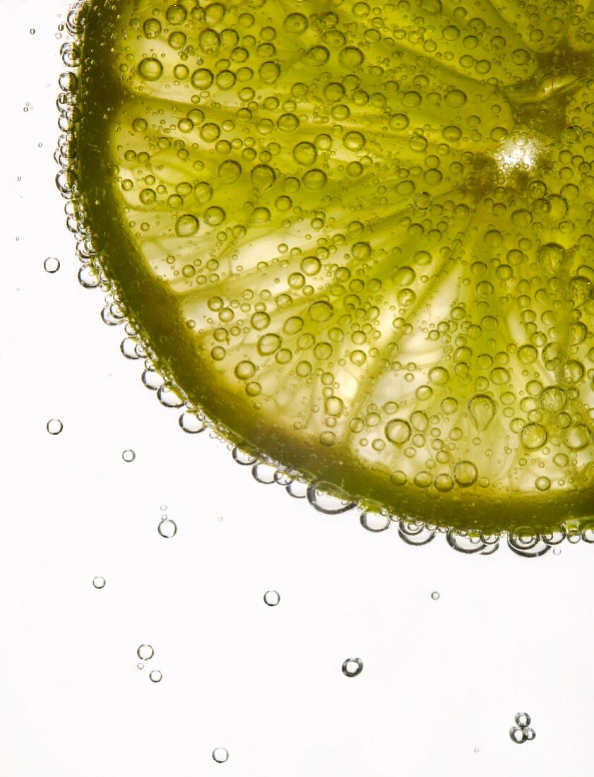 Lime Slice in Soda Water
