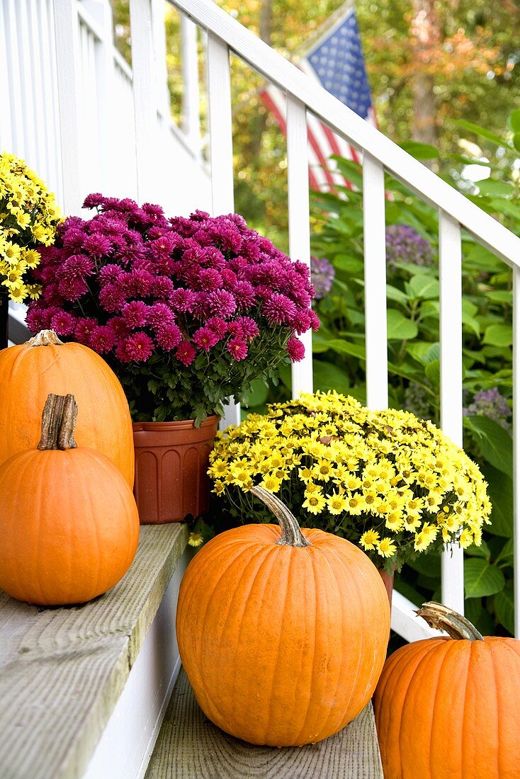 Pumpkins and Mums on  Front Porch Steps
