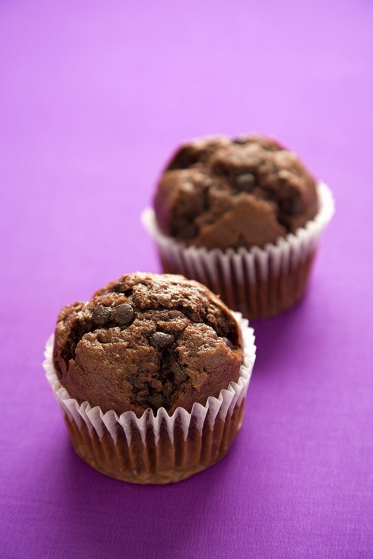 Two Chocolate Chip Muffins