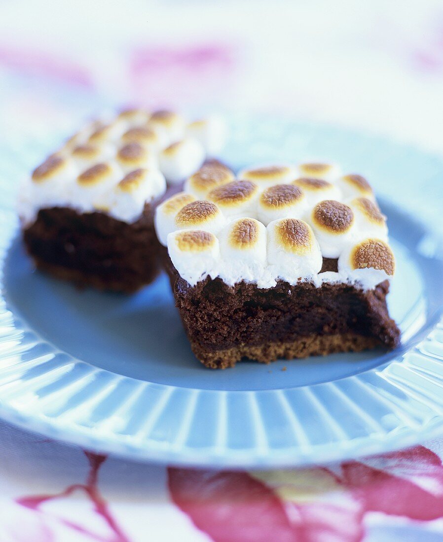 Two S'mores Brownies on a Blue Plate