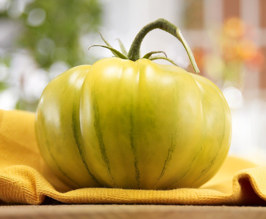 A Green Tomato on a Dish Cloth