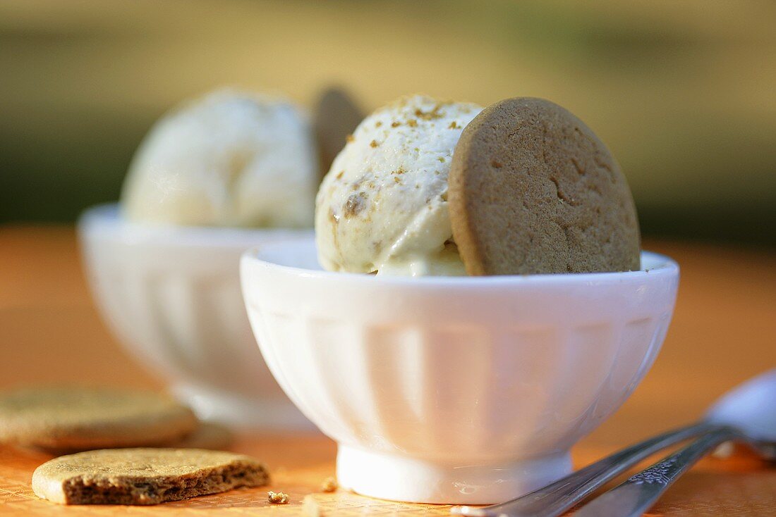 Two Bowls of Ice Cream with Cookies