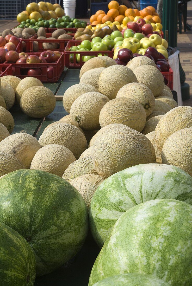 Assorted Melon and Fresh Fruit at an Outdoor Market