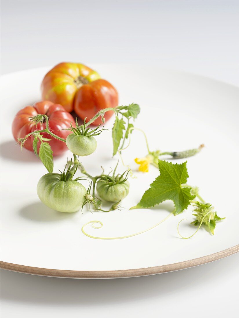 Reife und unreife Tomaten auf einem Teller