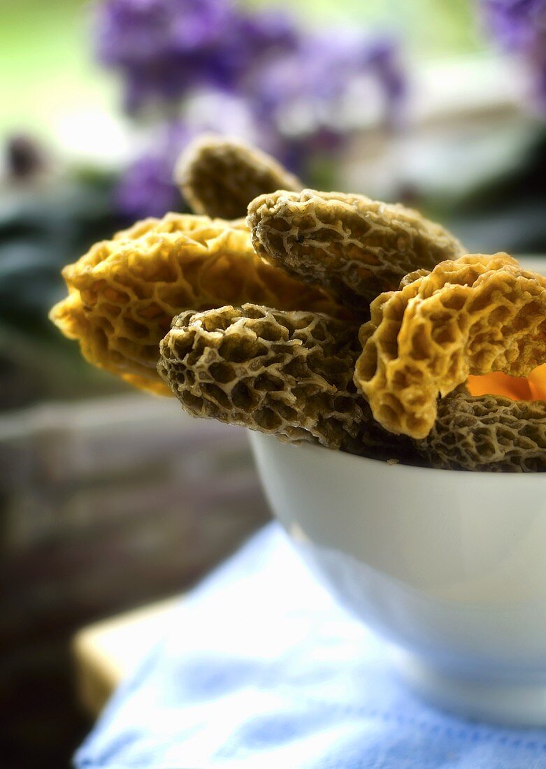 Bowl of Wild Morel Mushrooms