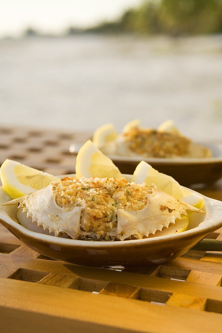 Stuffed Crabs on Beach Table