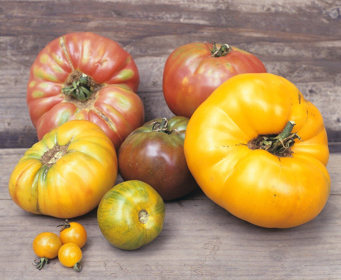 Verschiedene Heirloom Tomaten auf Holzuntergrund