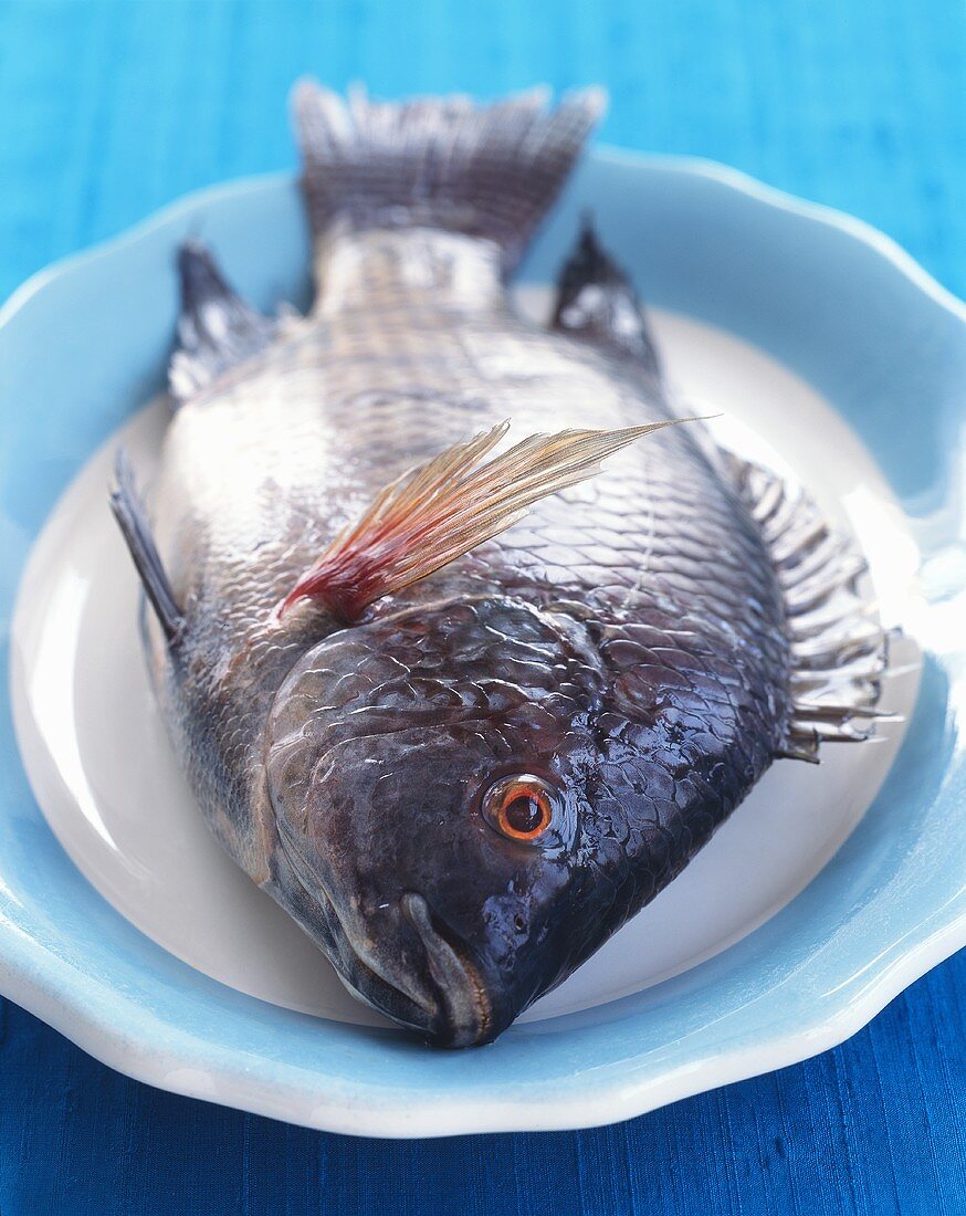 Whole Raw Snapper on a Dish