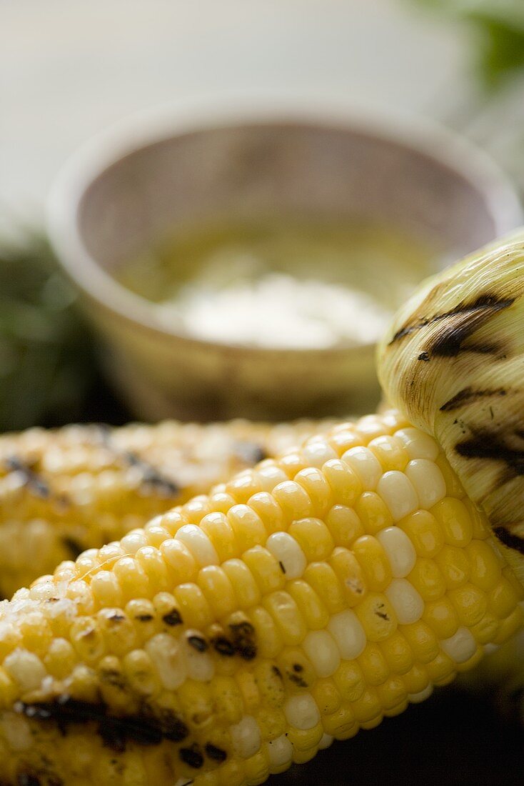 Roasted Corn on the Cob; Close Up