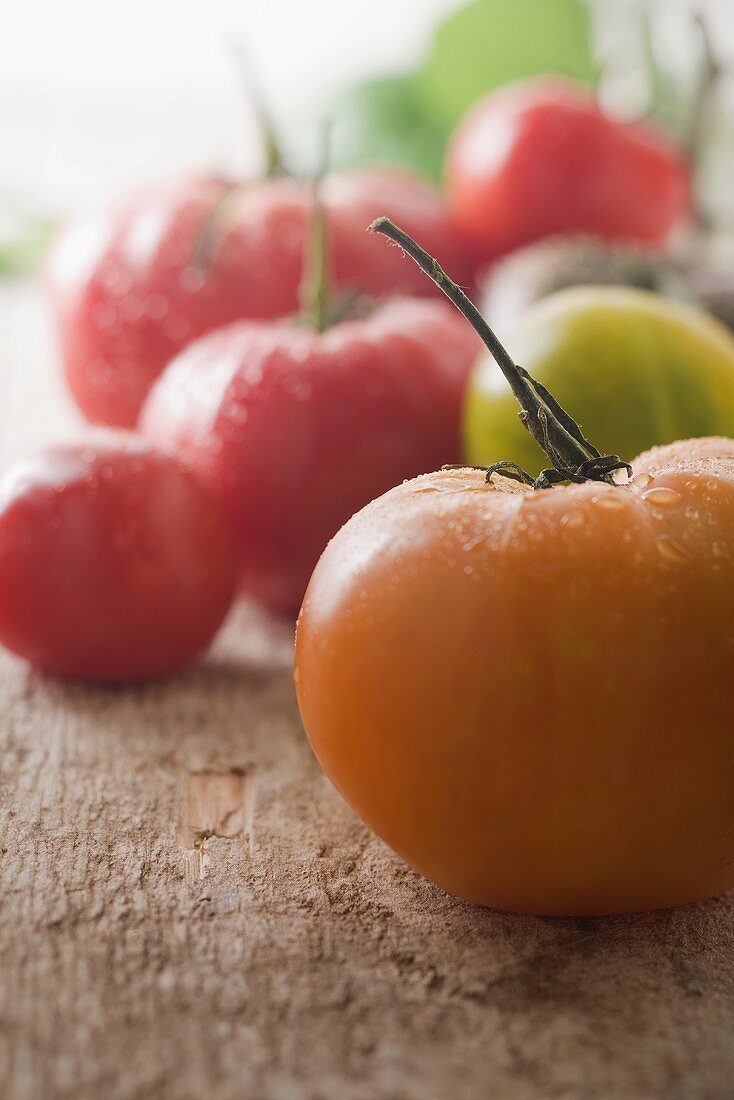 Verschiedene Heirloom Tomaten mit Wassertropfen