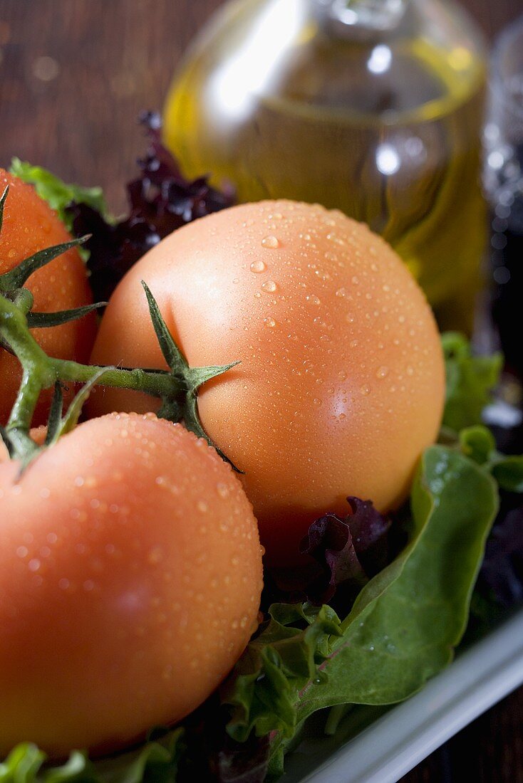 Tomaten mit Wassertropfen auf Salat, Olivenöl im Hintergrund