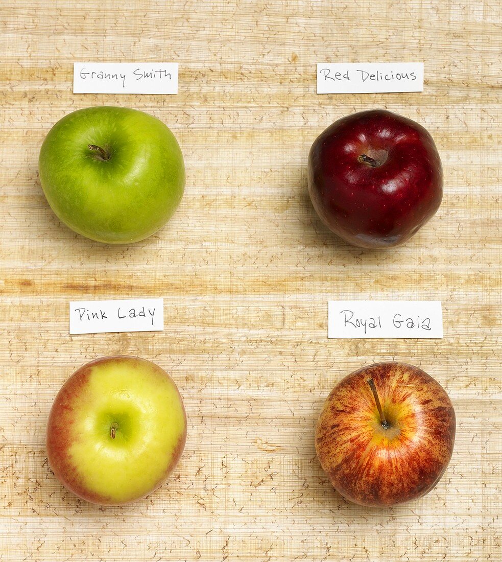 Four Assorted Apples with Labels
