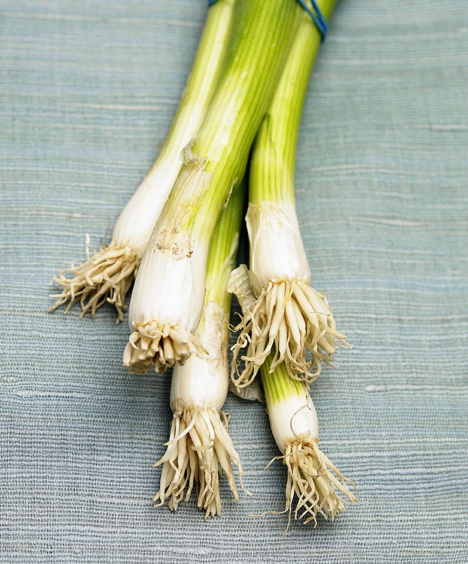 Ends of Scallions
