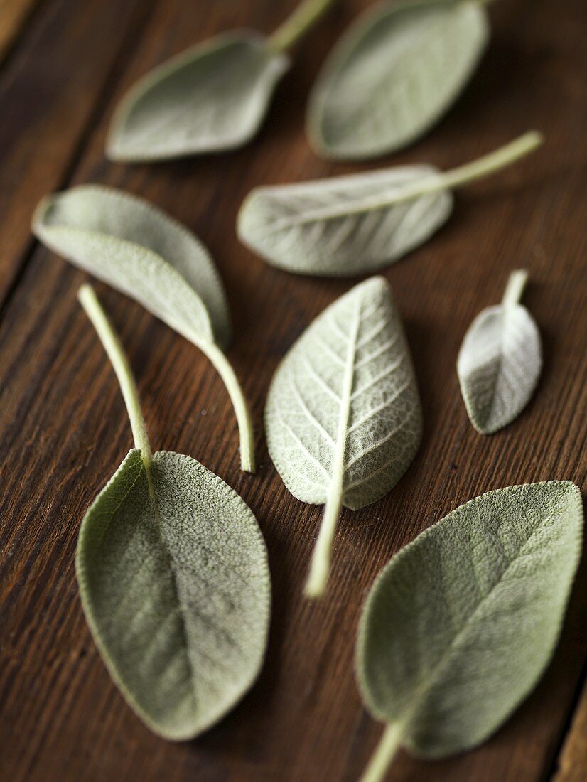 Sage Leaves on Wood