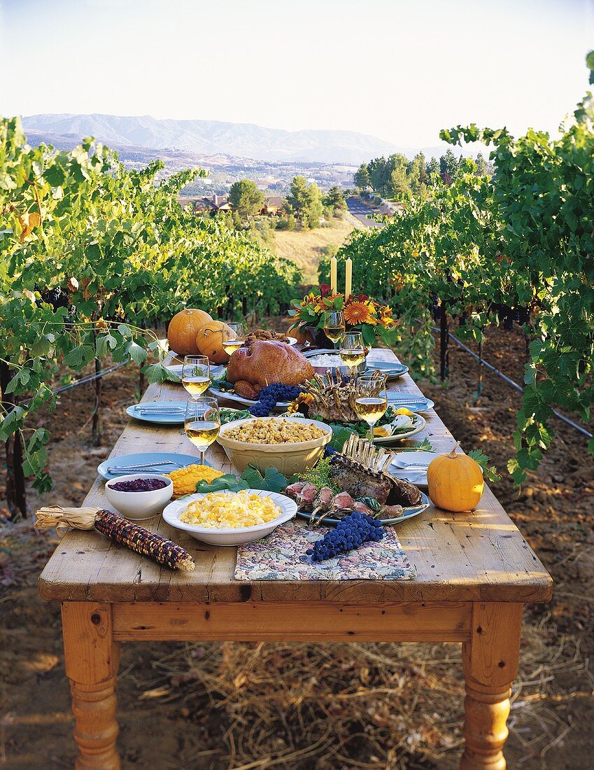 Thanksgiving Dinner Set on Rustic Table in Vineyard