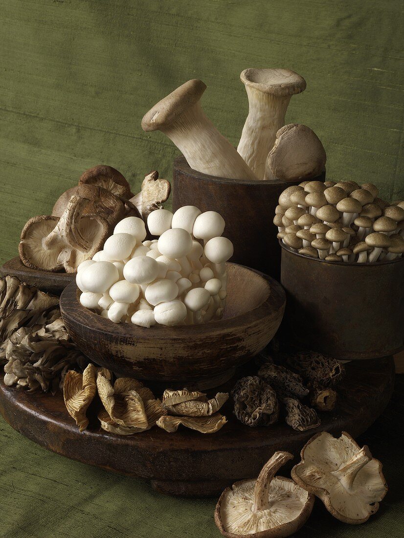 Various Mushrooms in Wooden Bowls