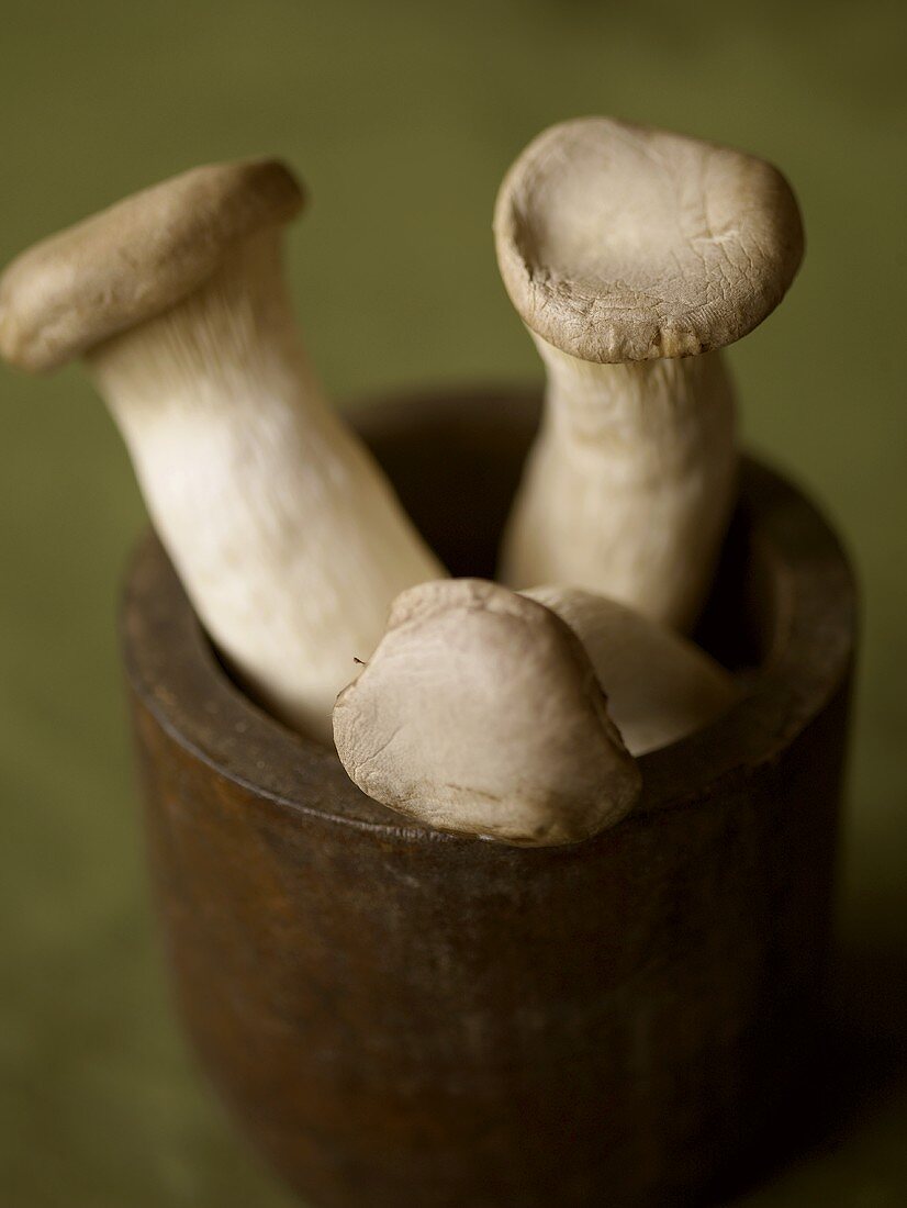 Mushrooms in Wooden Bowl