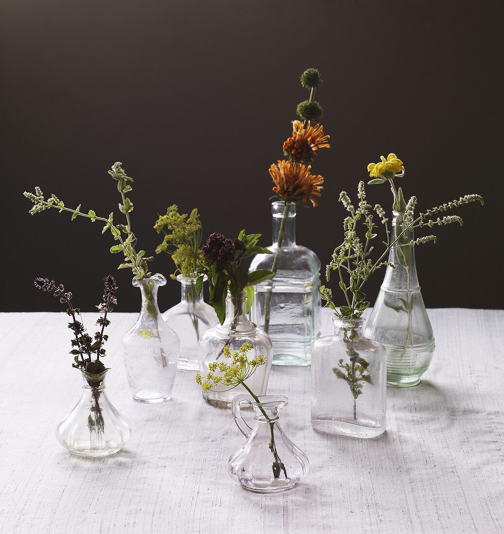 Various Herbs in Assorted Bottles