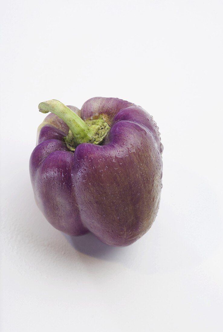 Eine violette Paprika