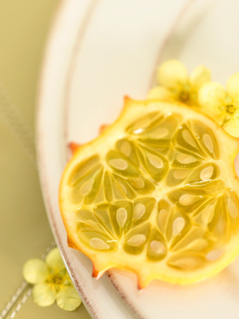 Slice of Prickly Pear