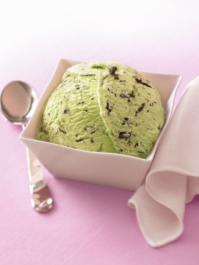 Bowl of Mint Chocolate Chip Ice Cream