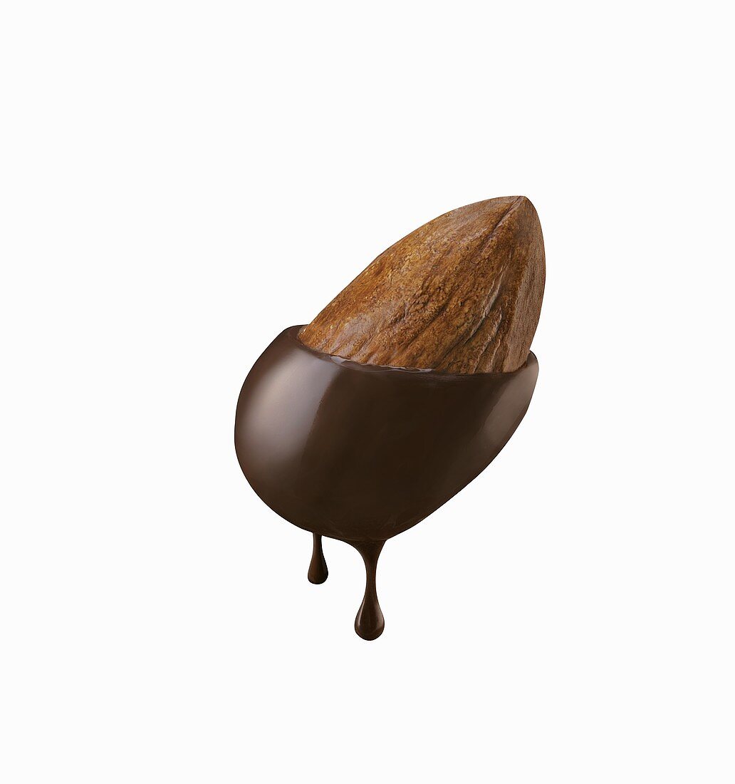 Mandel, in Schokolade getaucht