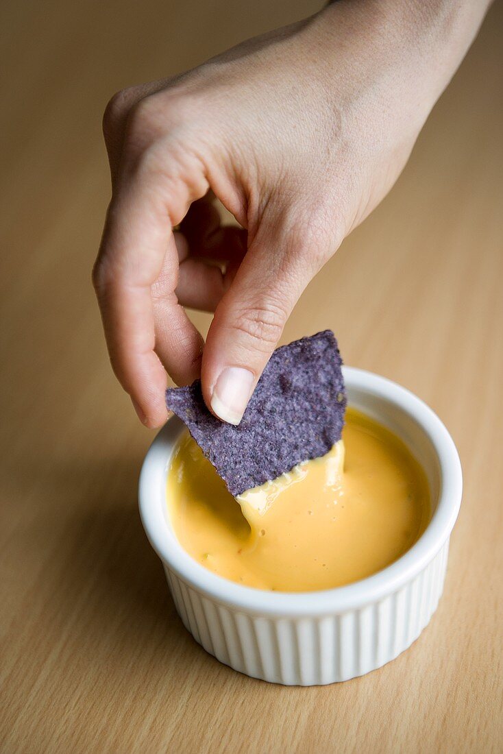 Hand Dipping Blue Corn Chip in Queso Dip