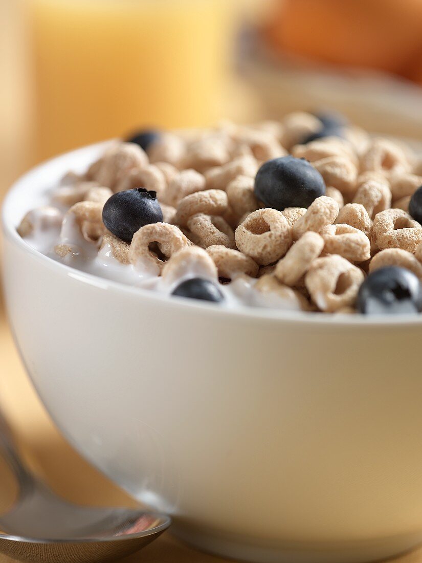 Oat Ceral with Blueberries and Milk, Close Up