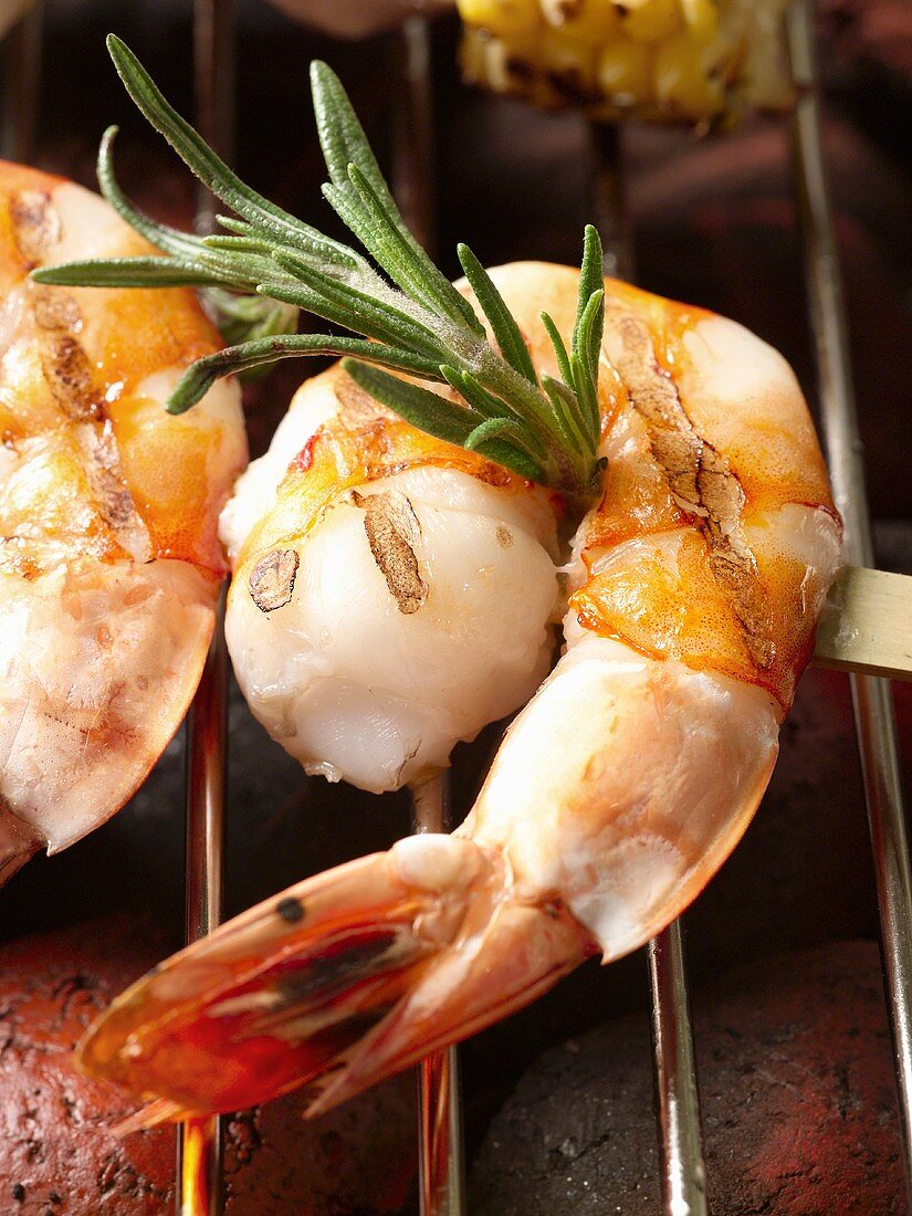 Grilled Shrimp Kabob with Rosemary