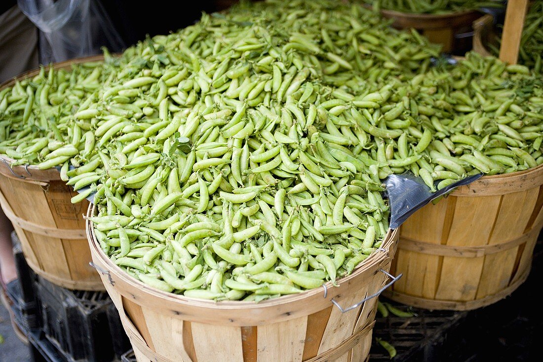 Organic Snap Peas at Union Square Market, NYC