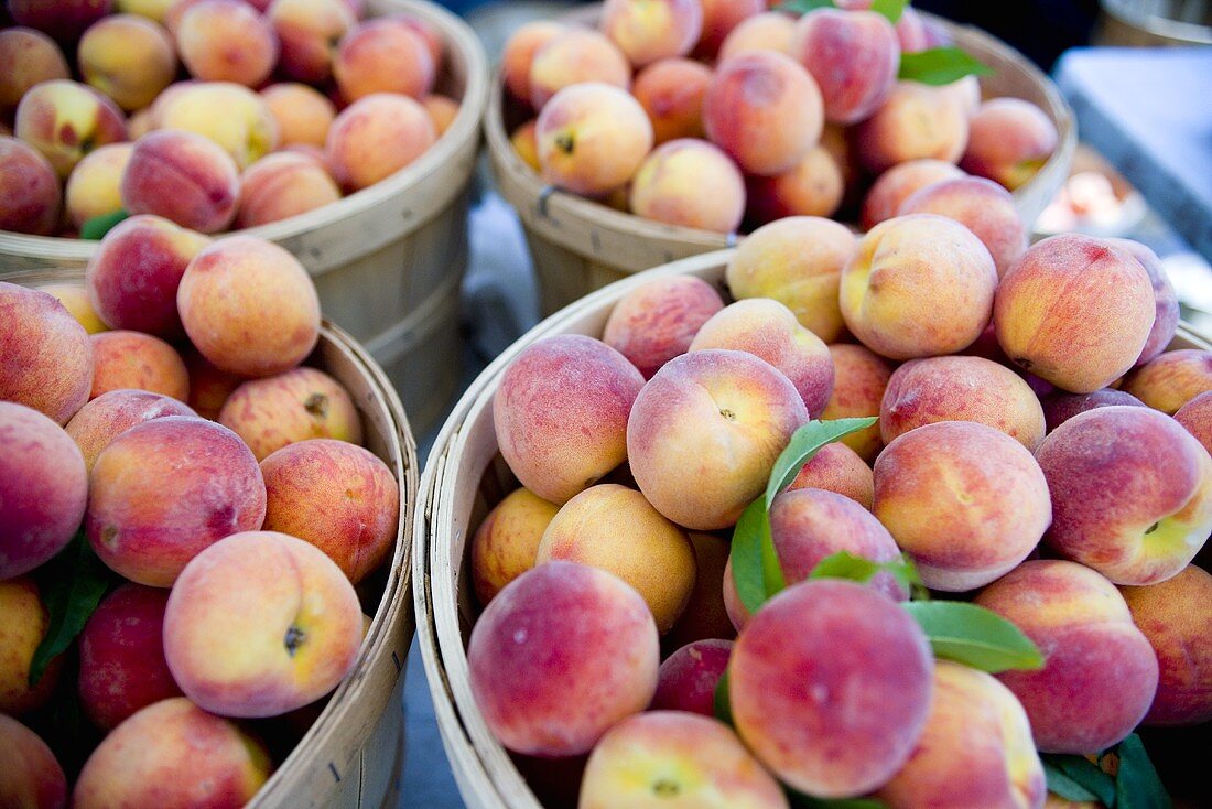 Organic Yellow Peaches at Union Square Market, NYC