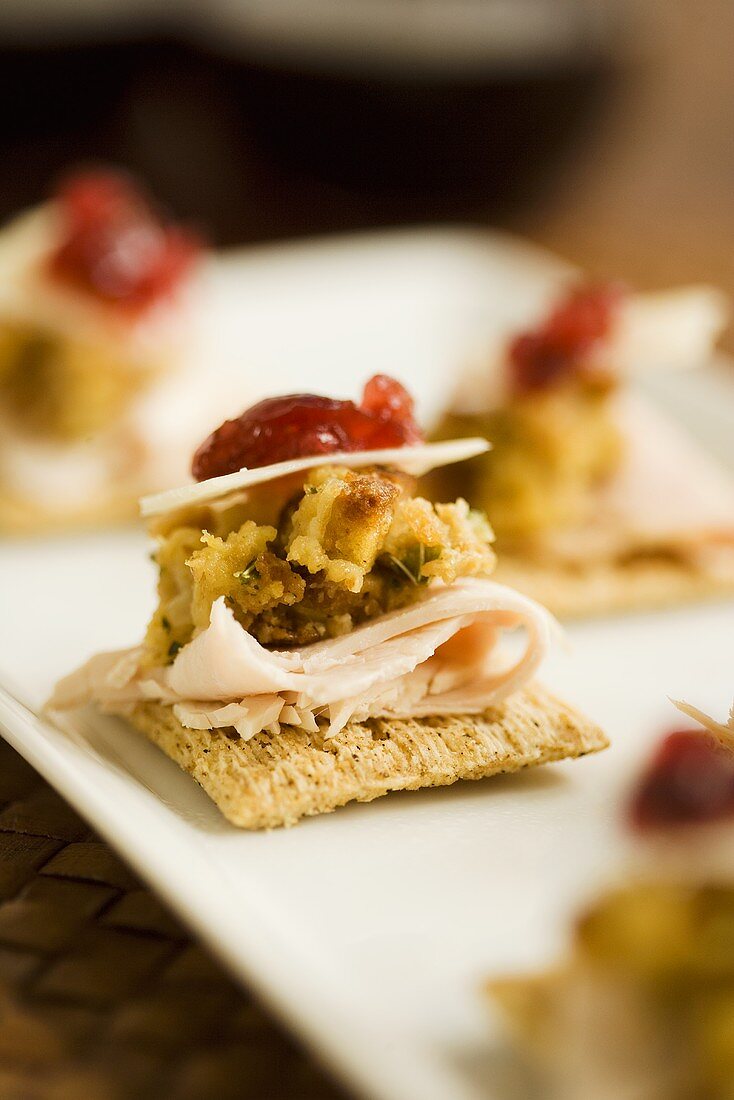 Cracker mit Pute, Brotfüllung und Cranberries zu Thanksgiving