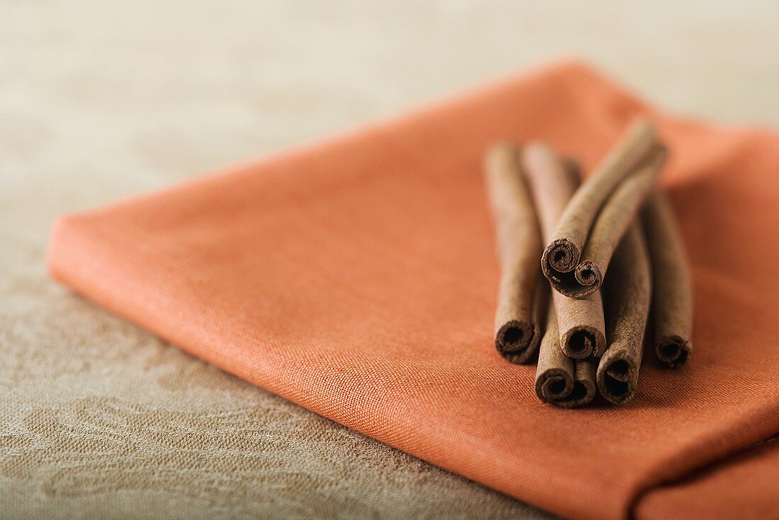 Cinnamon Sticks on Napkin