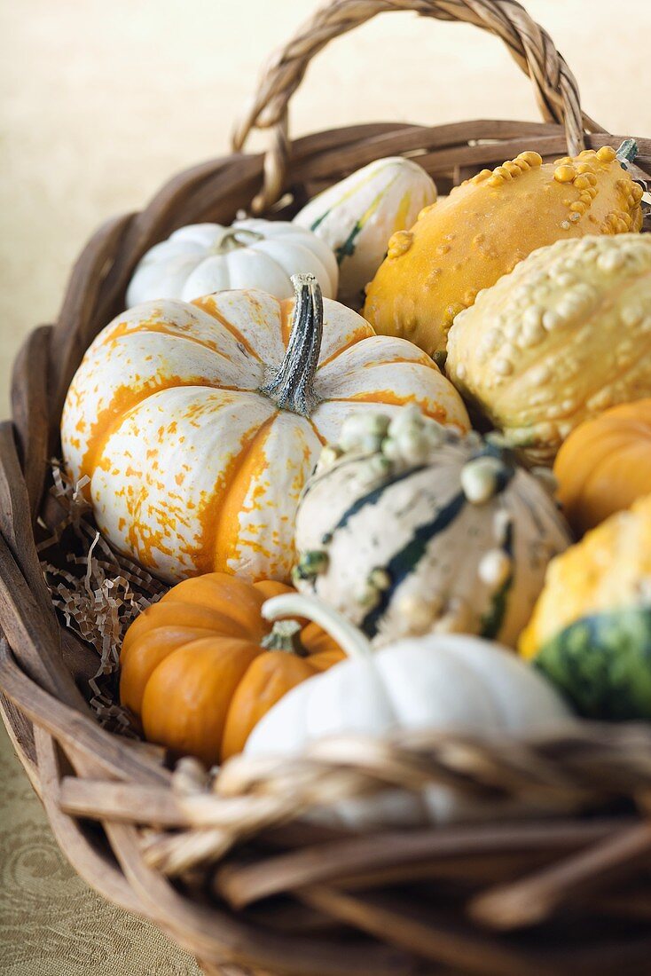 Basket of Fall Gourds and Pumpkins