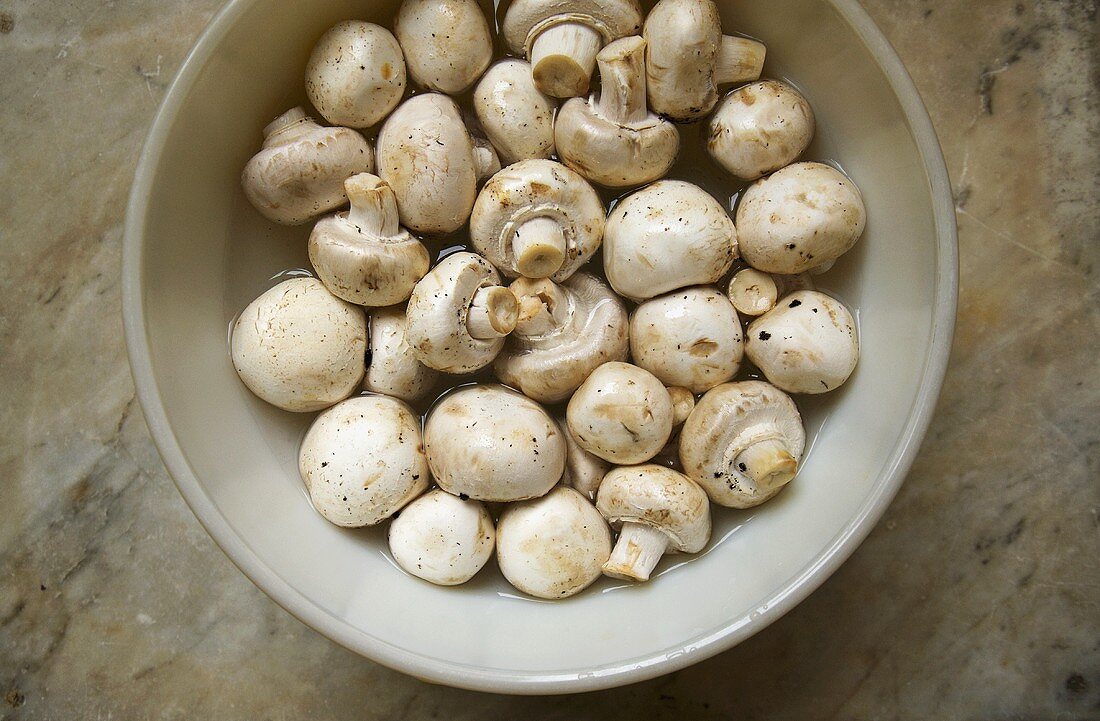 Bowl of Fresh White Mushrooms; From Above