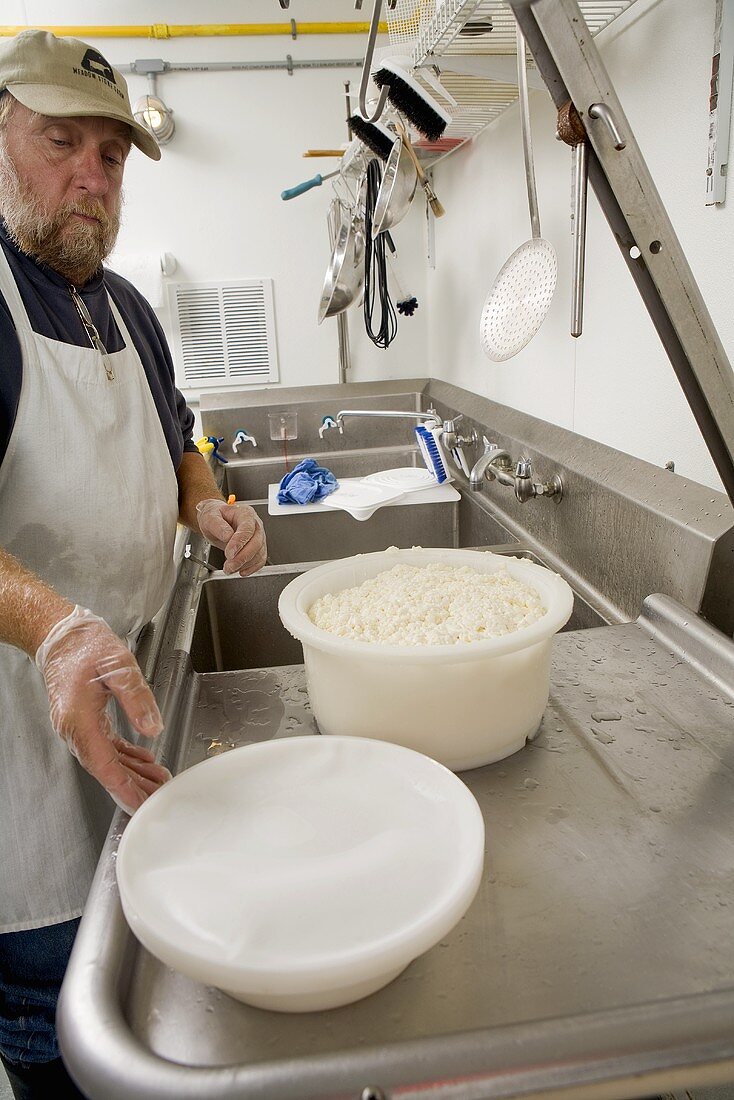 Curds in Molds