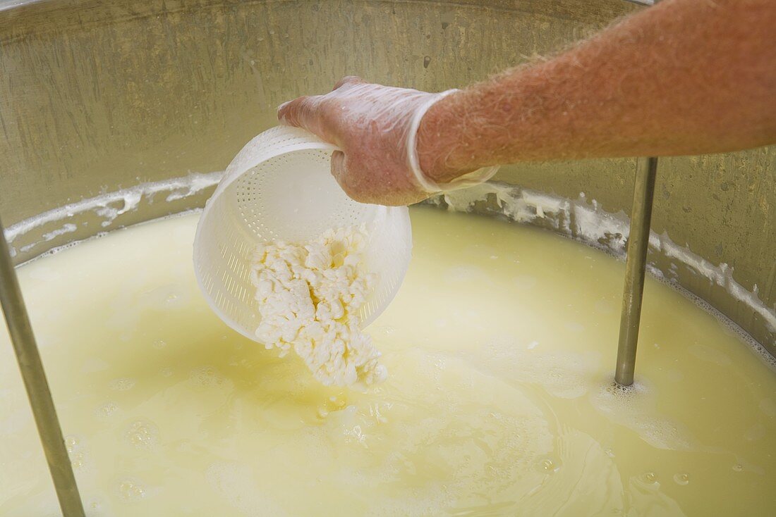 Man Removing Whey Protein from Whey